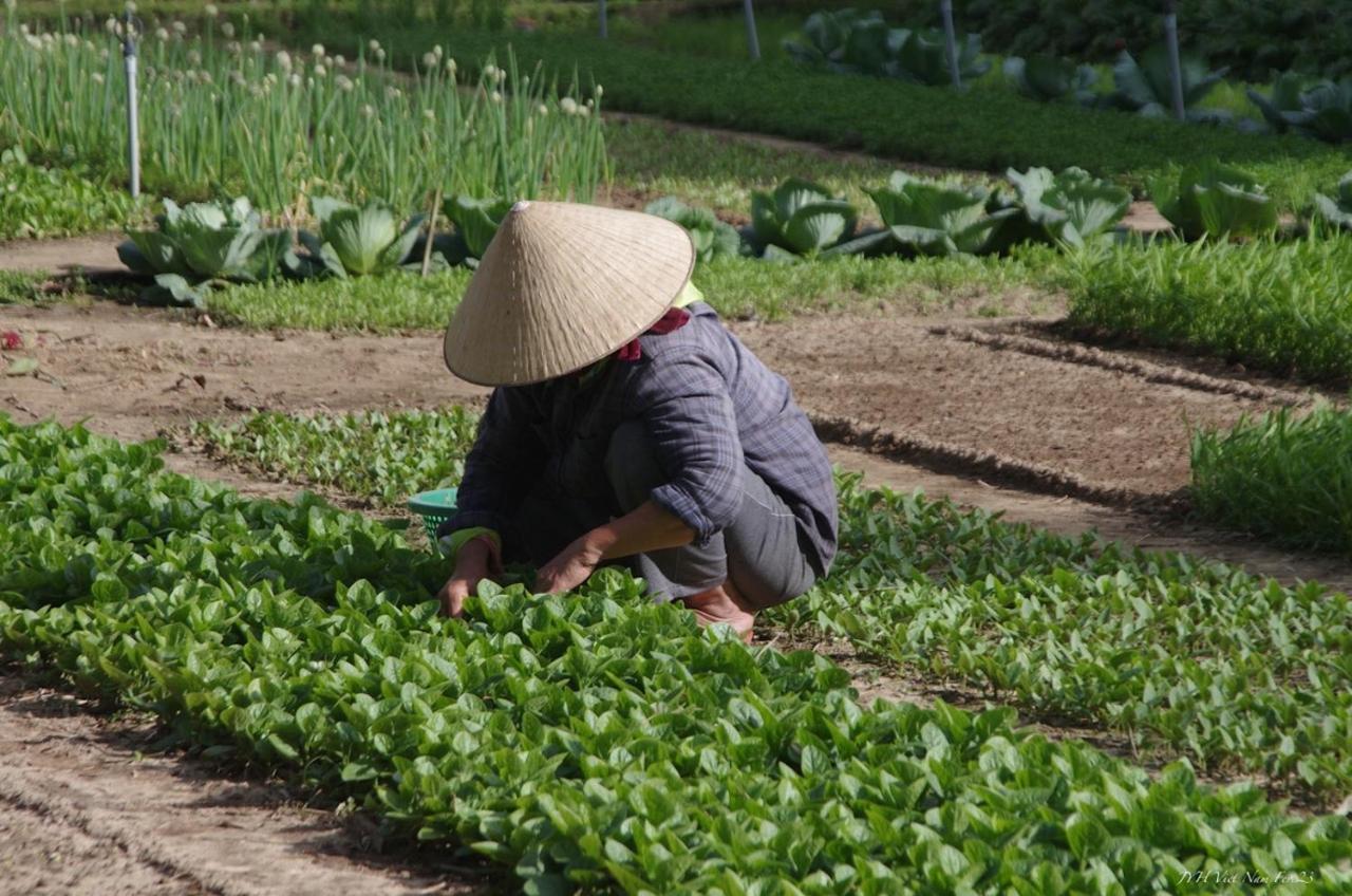 La Maison D'Indochine 호이안 외부 사진