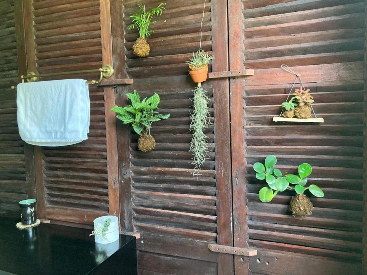 La Maison D'Indochine 호이안 외부 사진